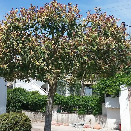 Corfu Anastasia Διαμέρισμα *